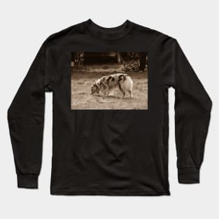 Dog show Long Sleeve T-Shirt